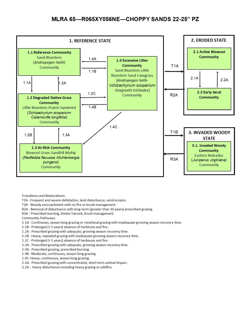 Model diagram