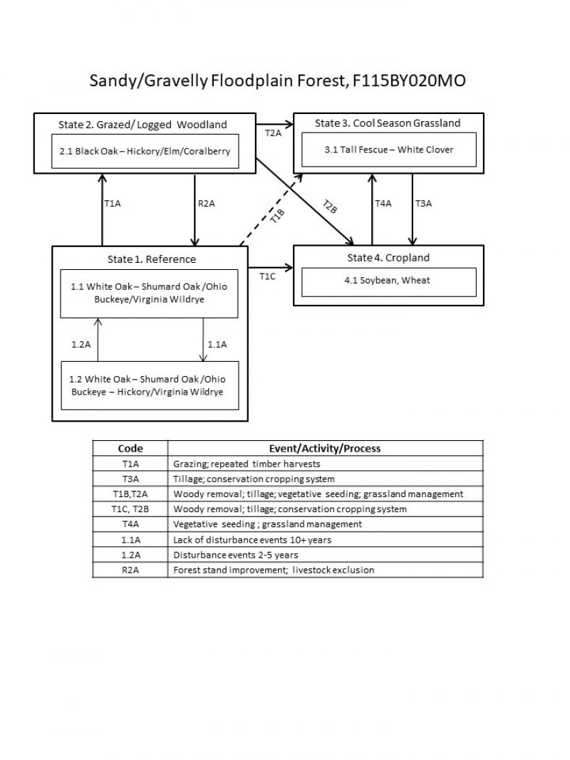 Model diagram