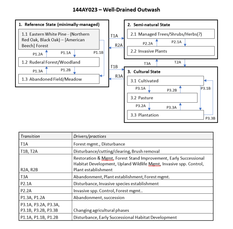 Model diagram