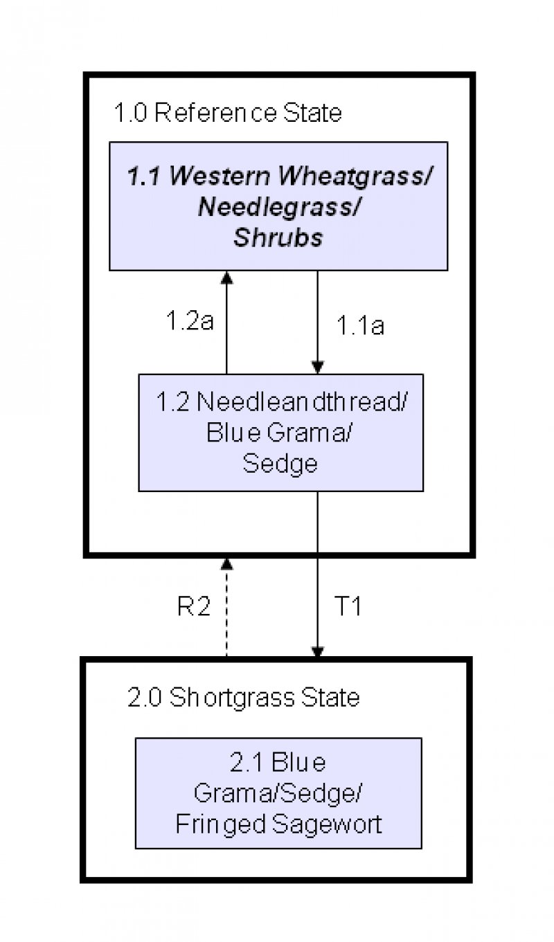 Model diagram