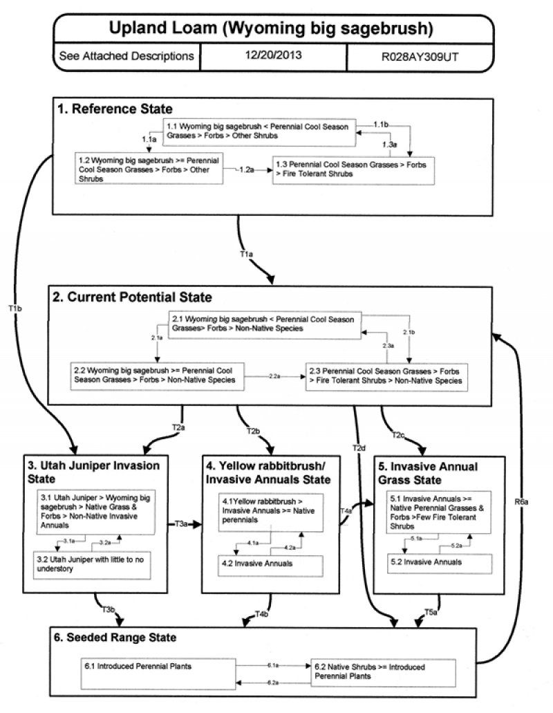 Model diagram