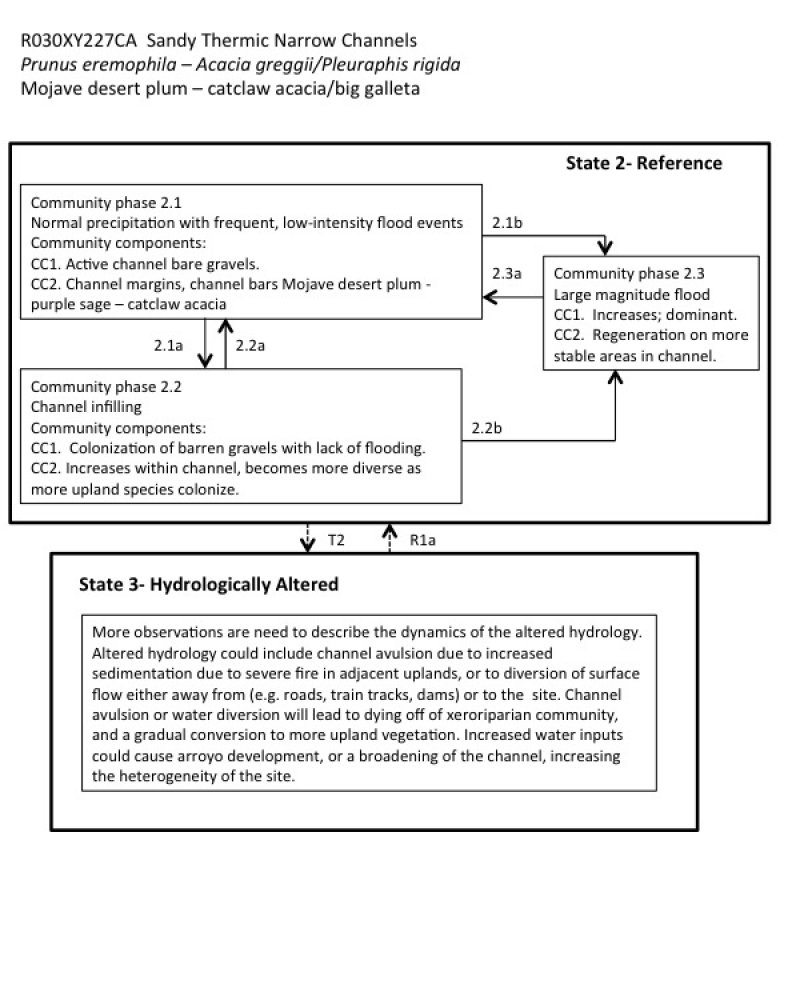 Model diagram