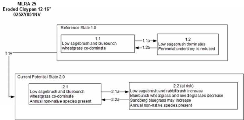 Model diagram