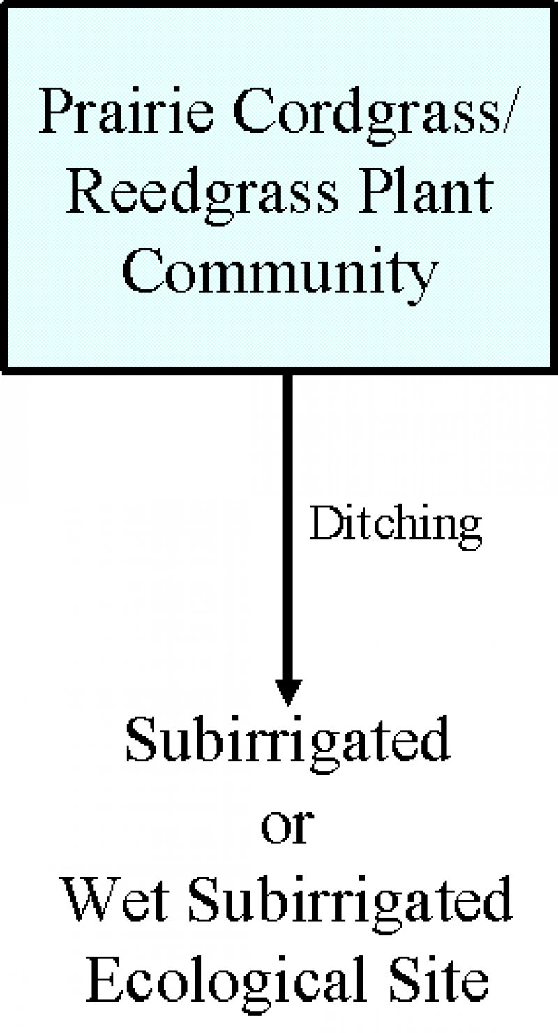 Model diagram
