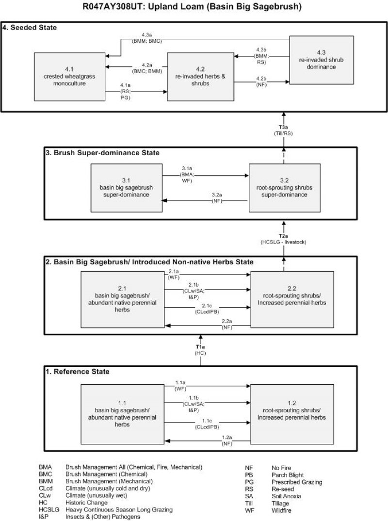 Model diagram