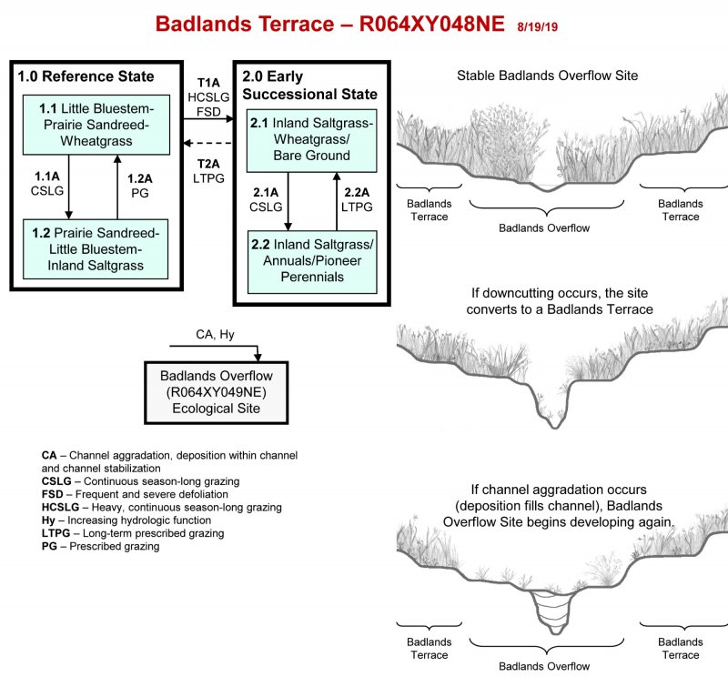 Model diagram