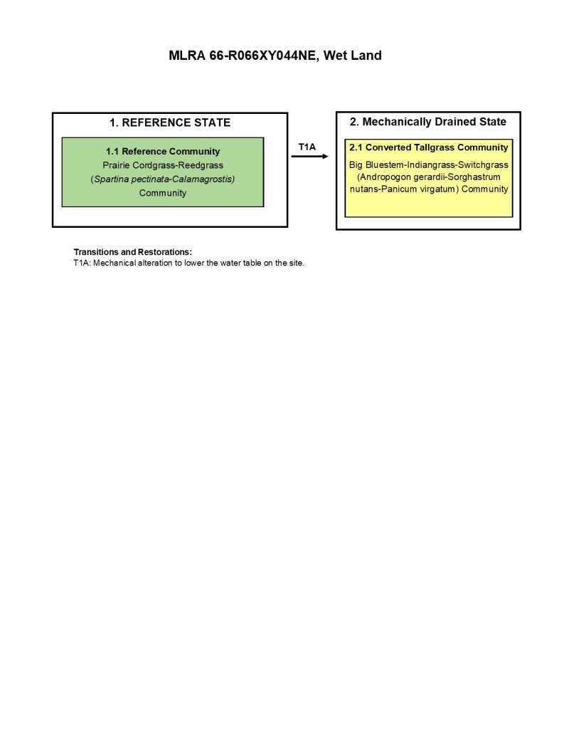 Model diagram