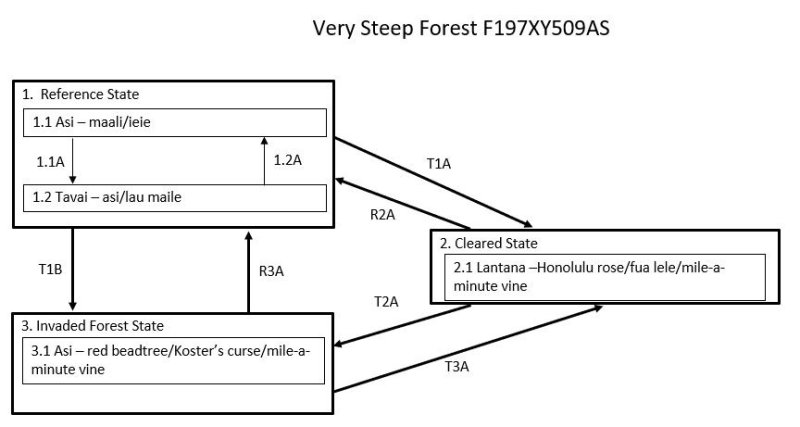 Model diagram