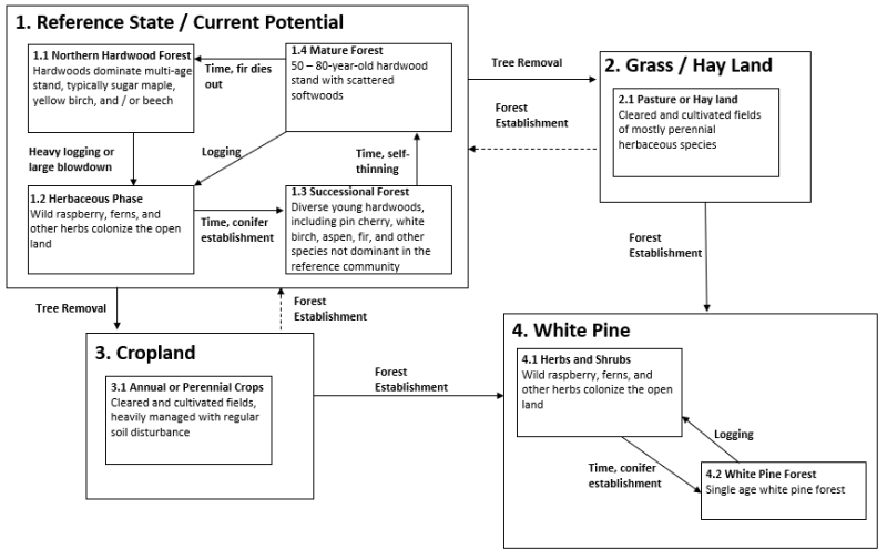 Model diagram