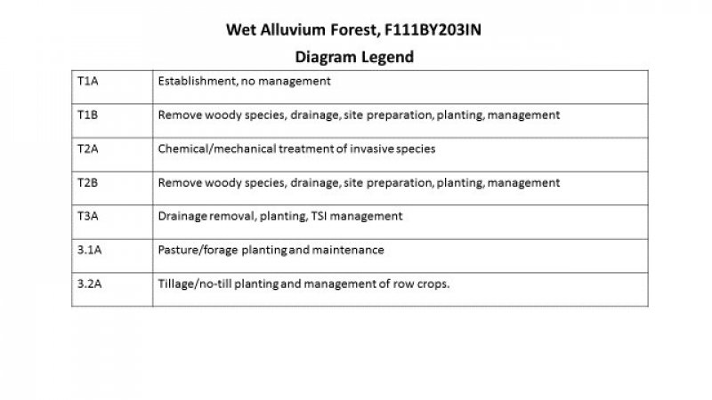 Model diagram