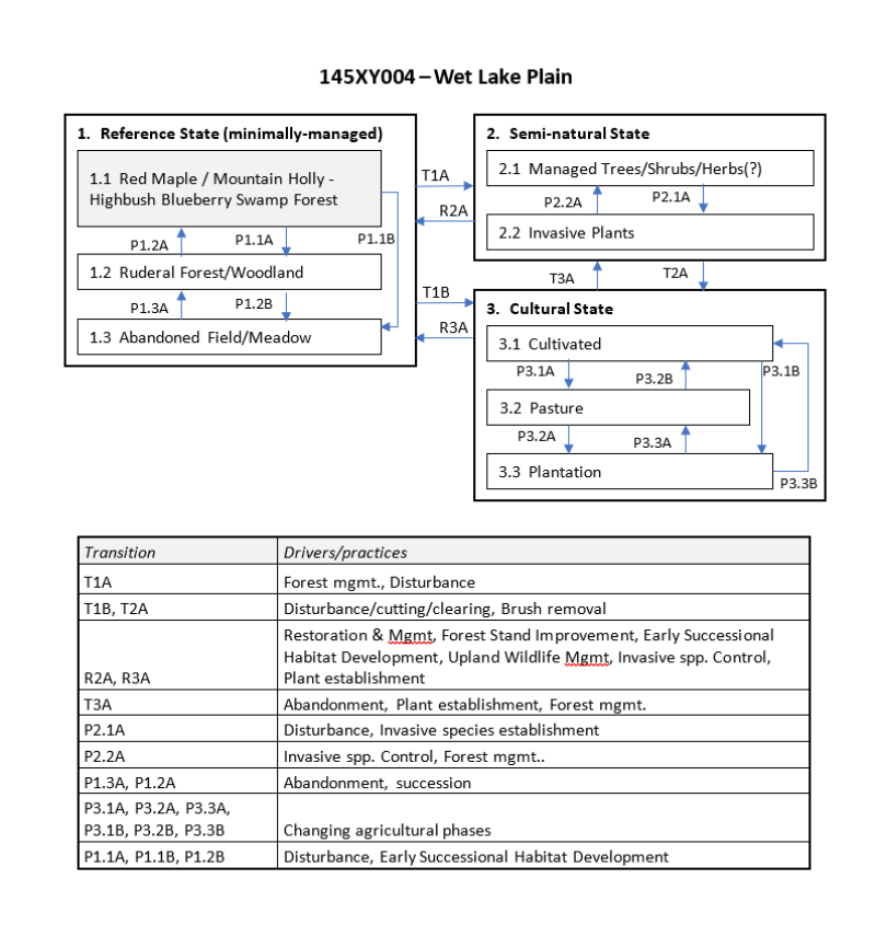 Model diagram