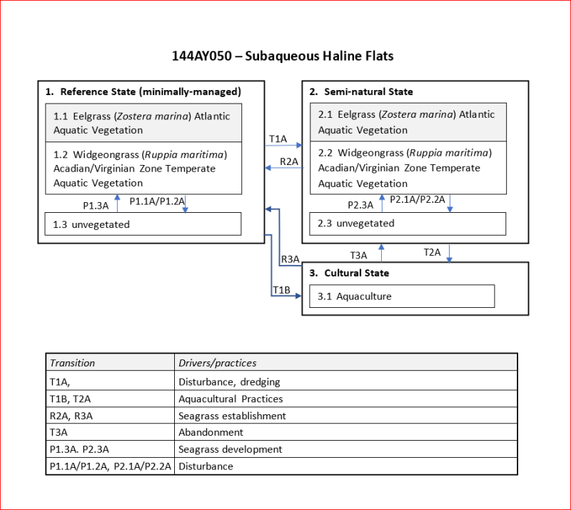 Model diagram