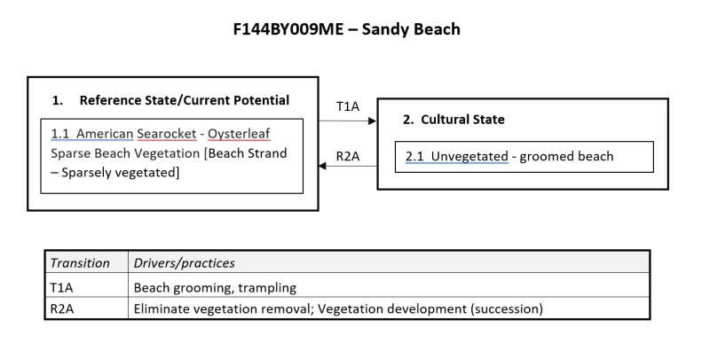 Model diagram