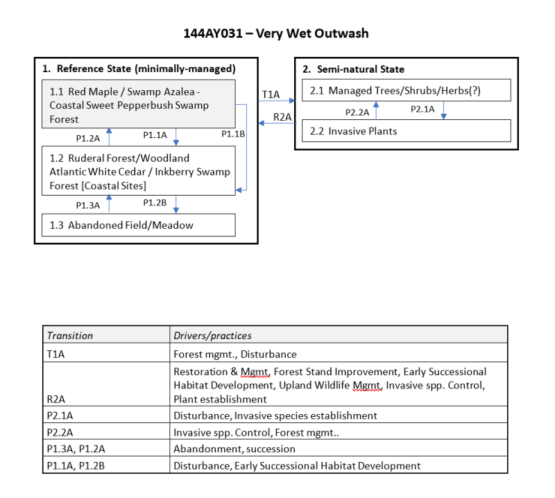 Model diagram