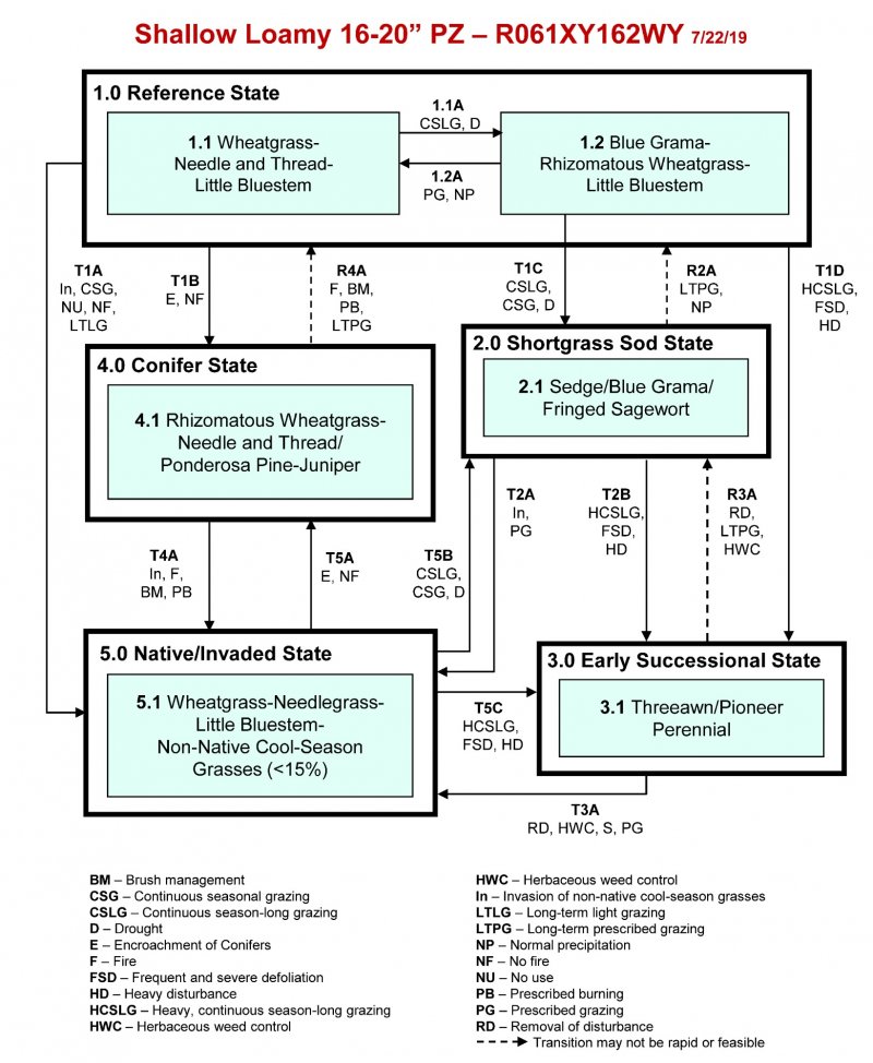 Model diagram