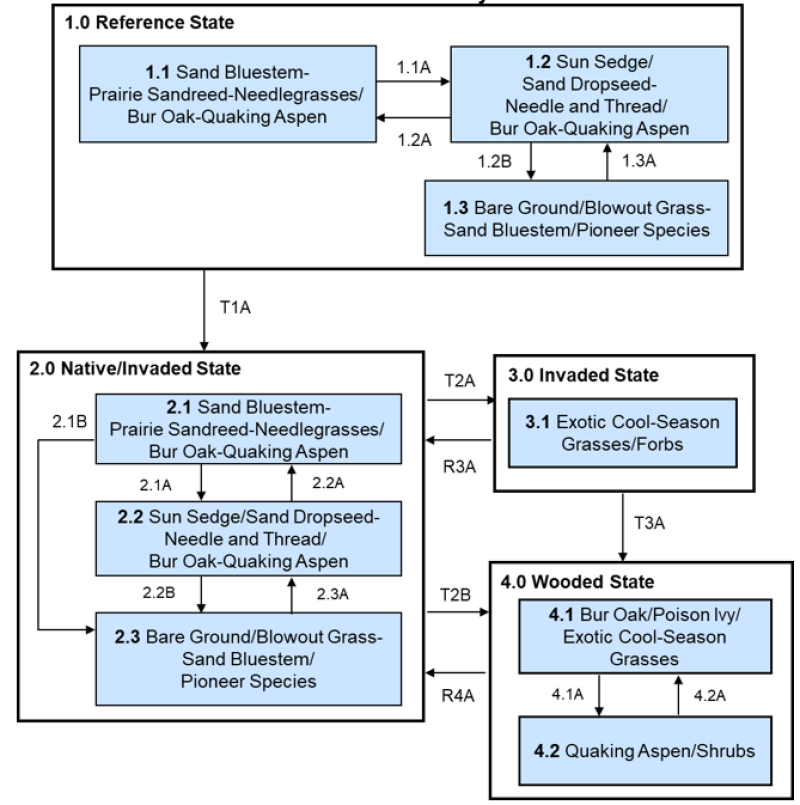 Model diagram
