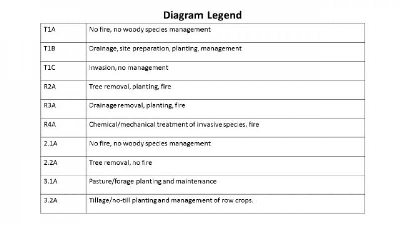 Model diagram