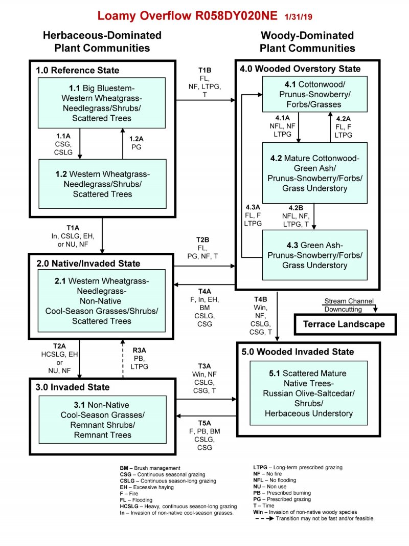 Model diagram