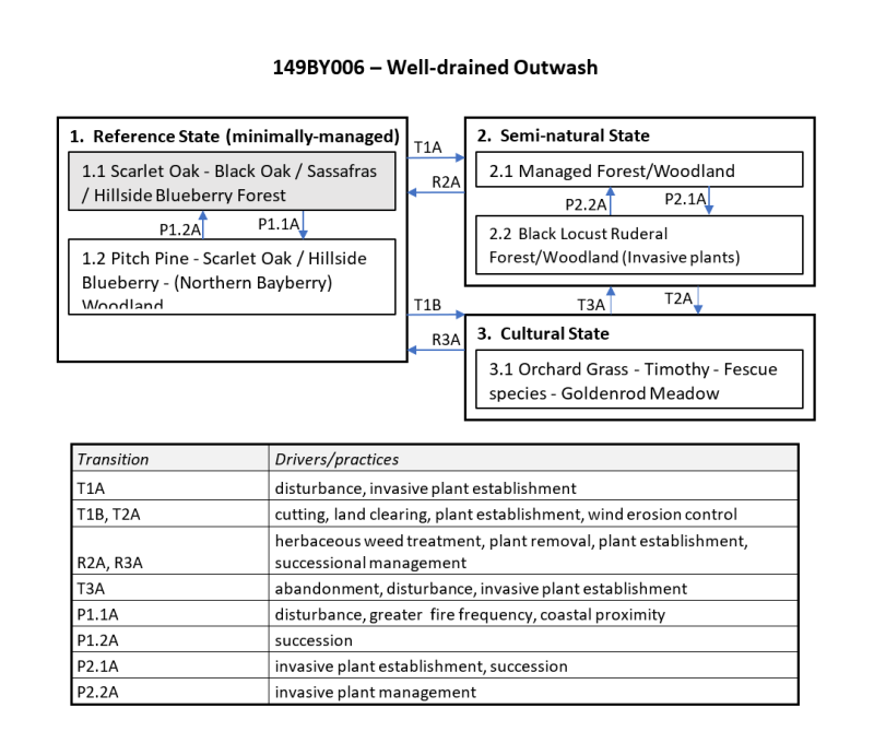 Model diagram