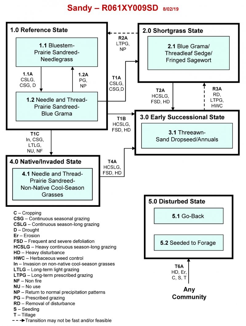 Model diagram