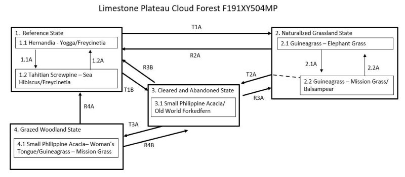 Model diagram