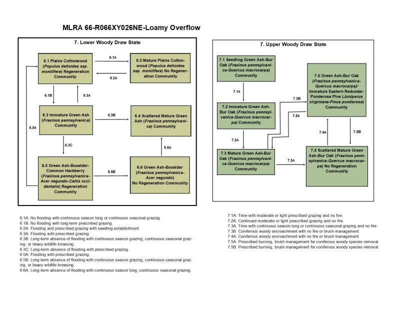 Model diagram