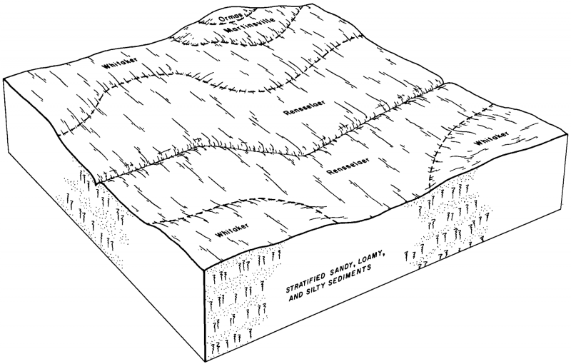 Model diagram