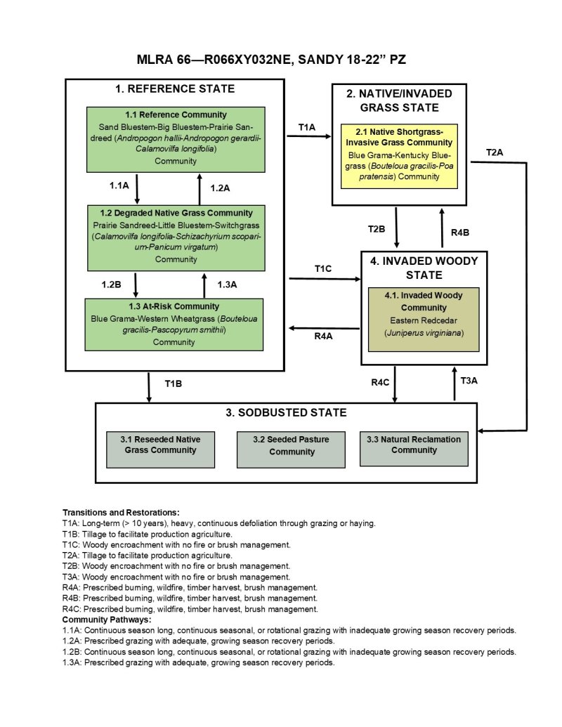 Model diagram