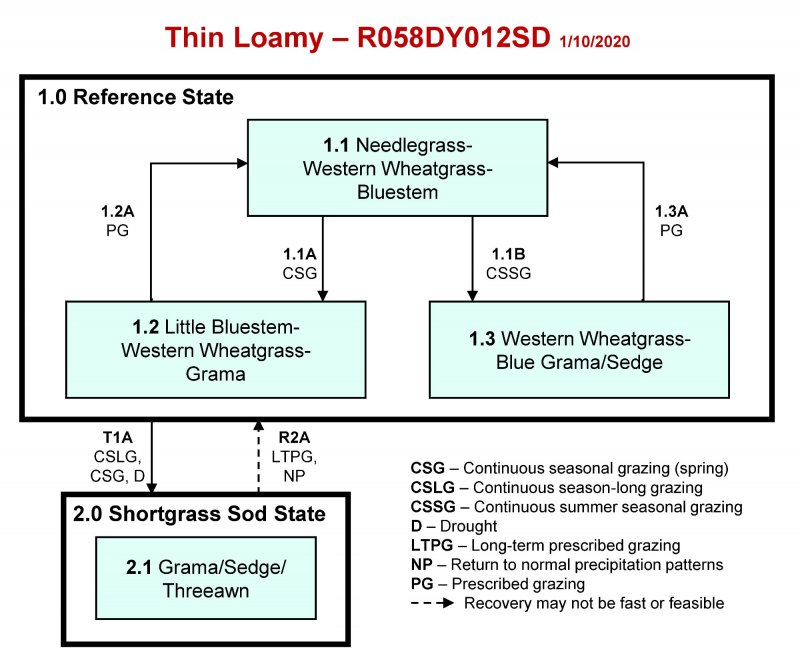 Model diagram