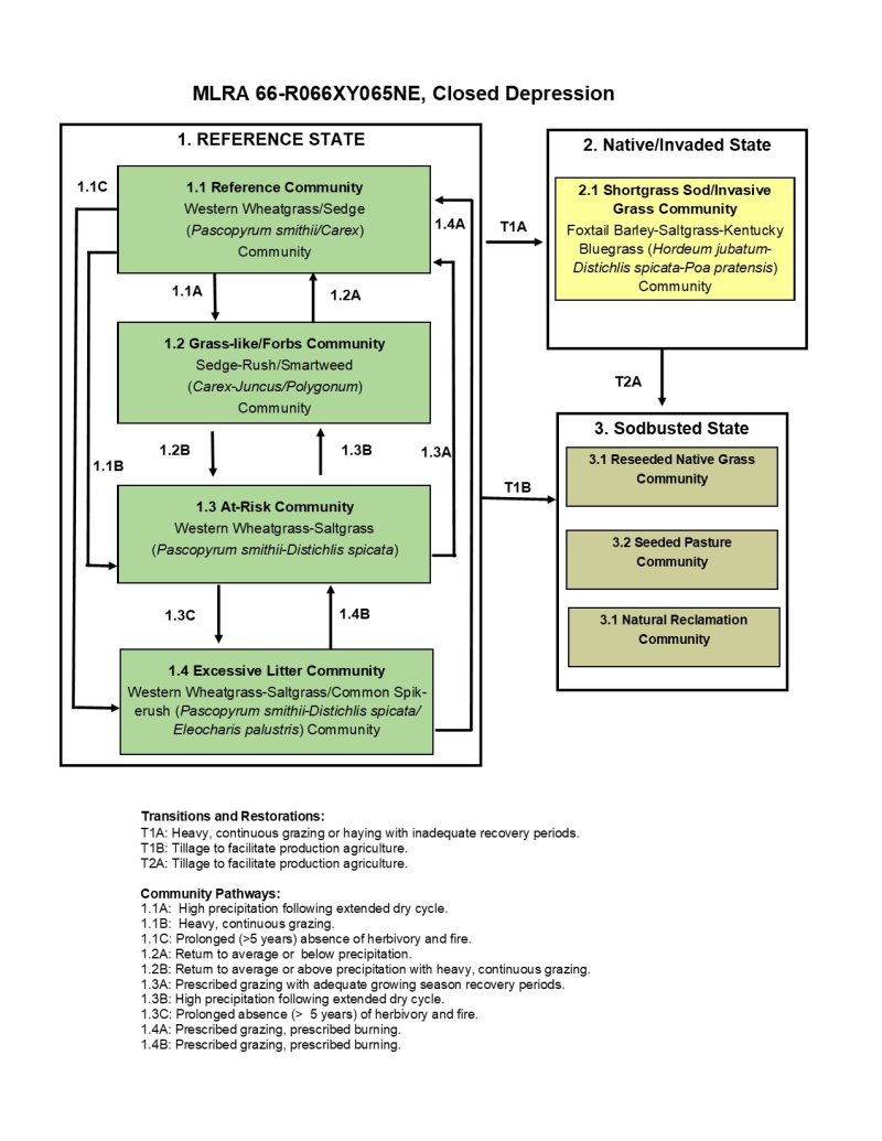 Model diagram