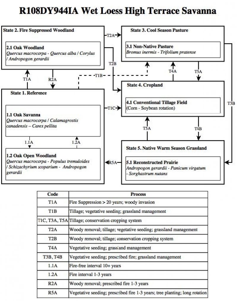 Model diagram