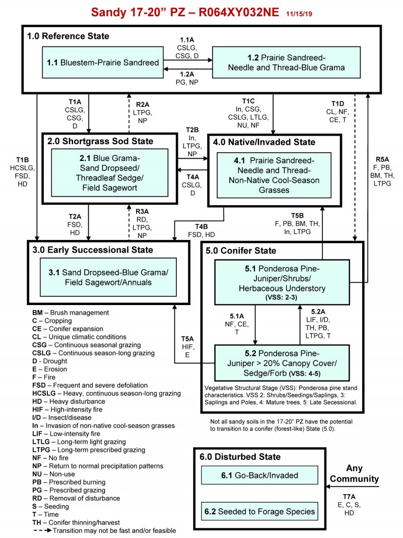 Model diagram