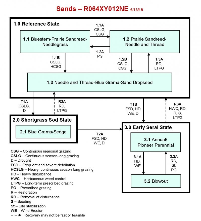 Model diagram