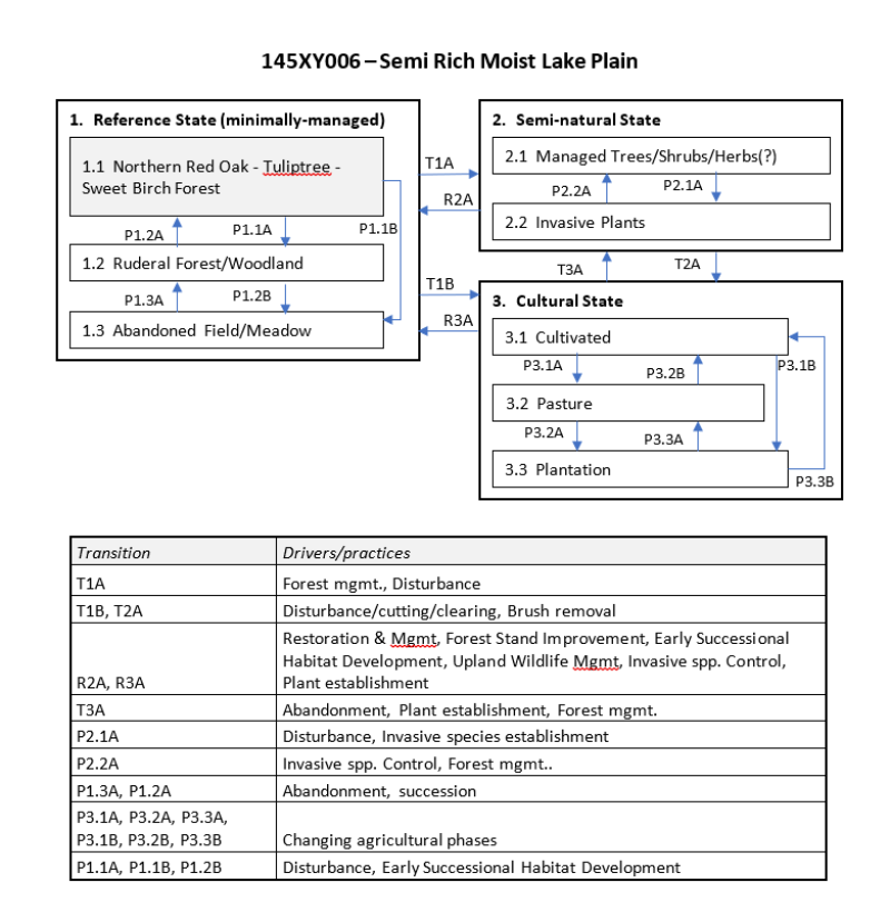 Model diagram