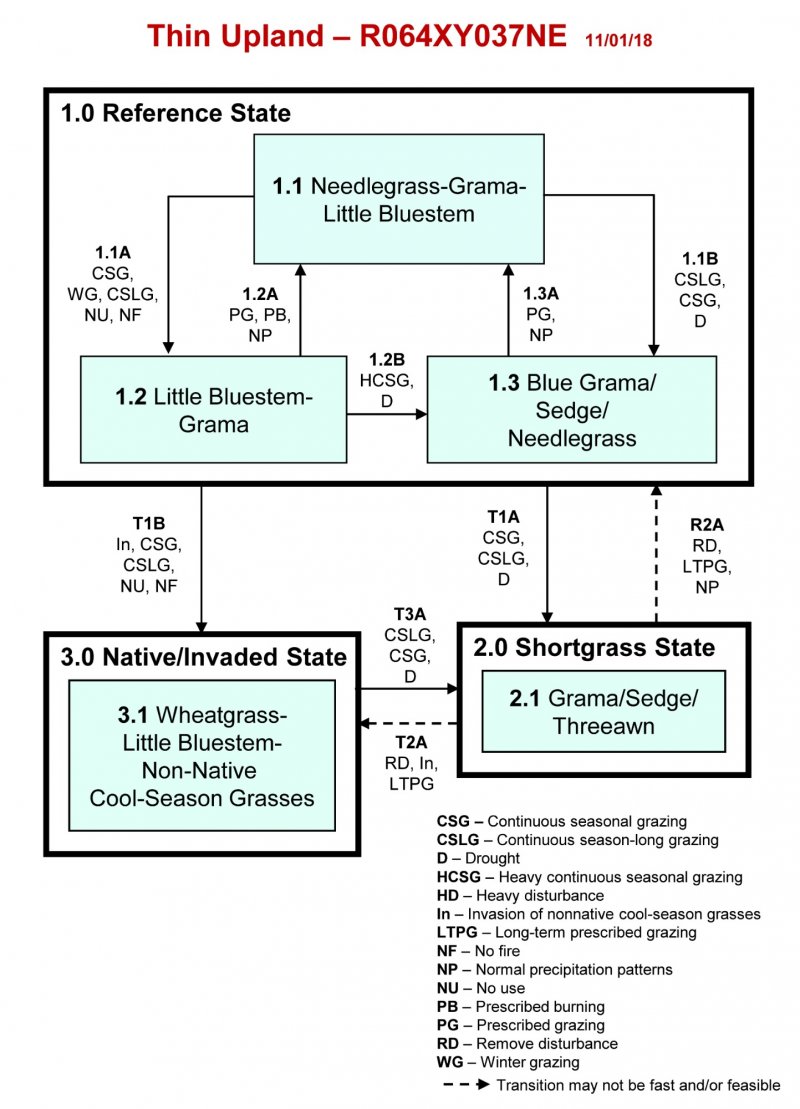 Model diagram