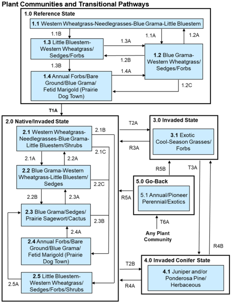 Model diagram