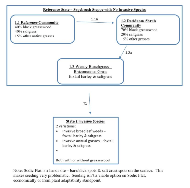 Model diagram