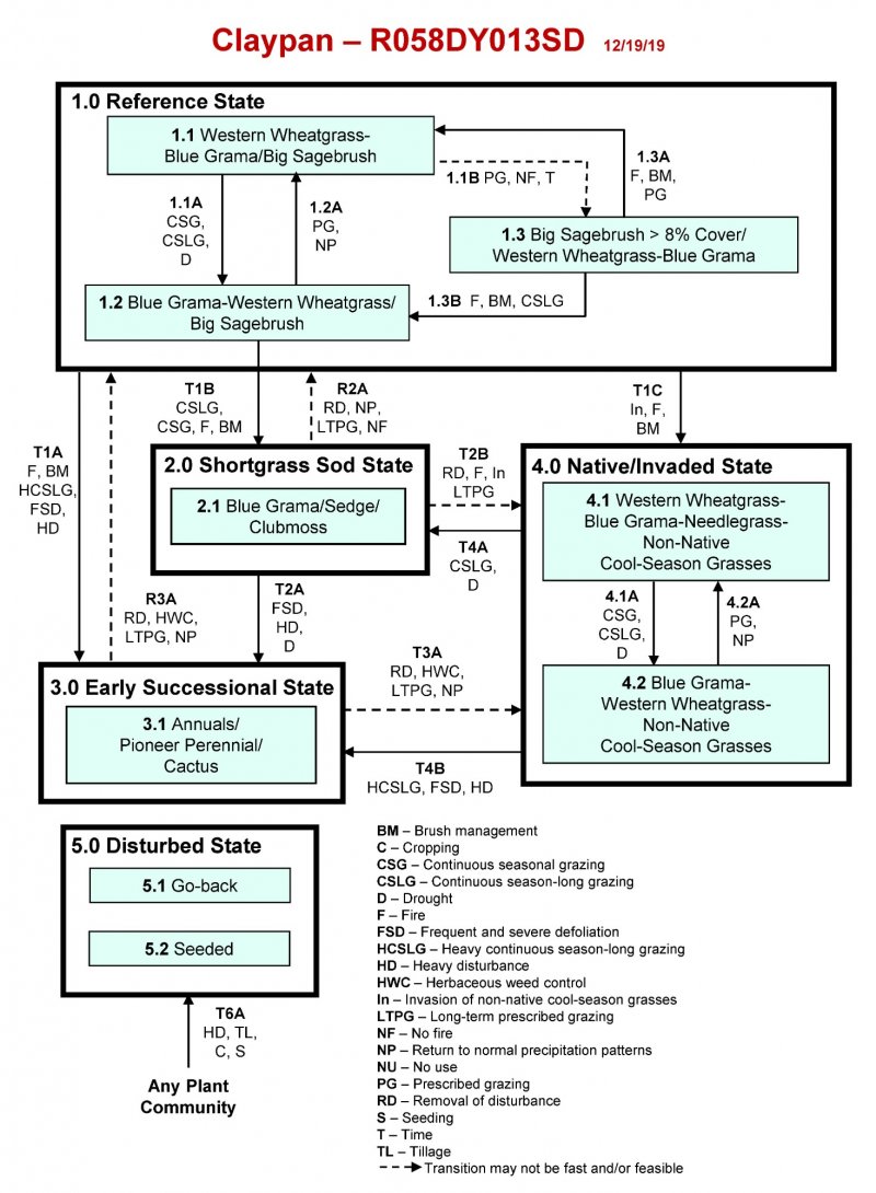 Model diagram