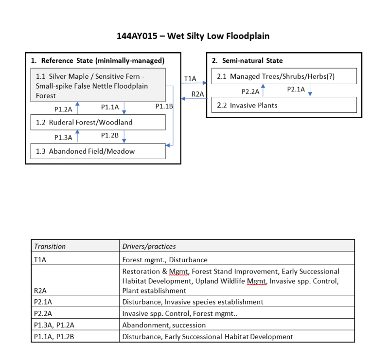 Model diagram