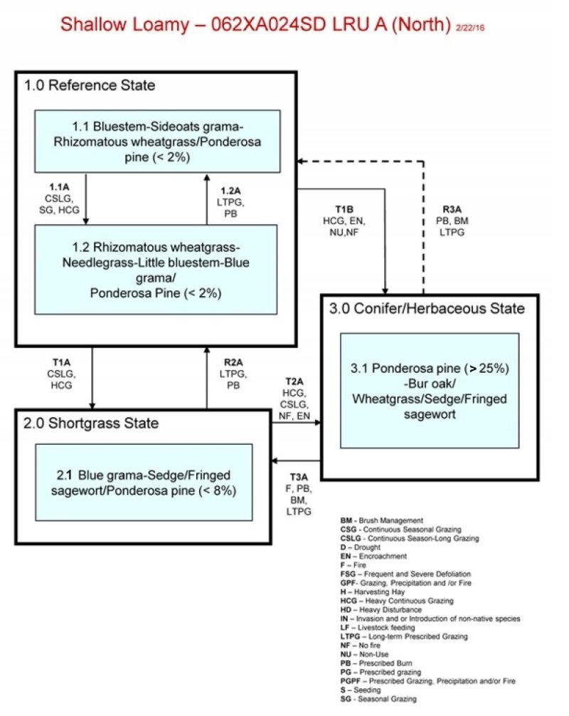 Model diagram