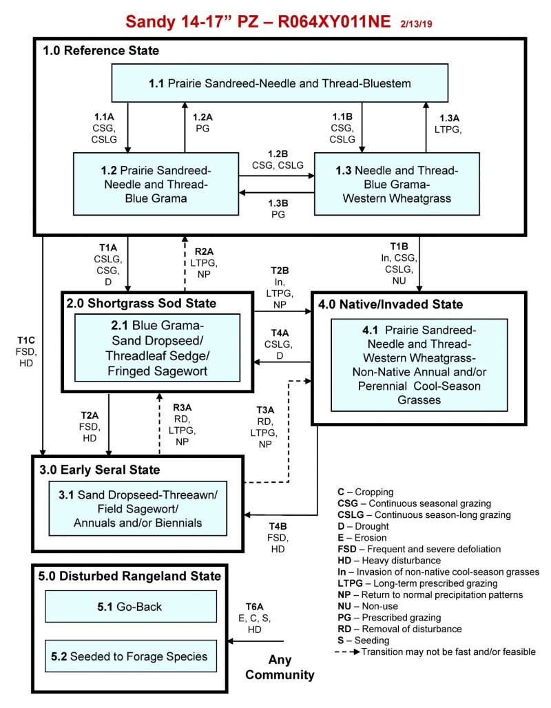 Model diagram