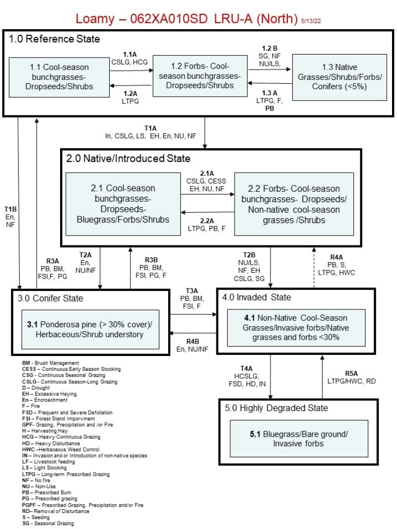 Model diagram