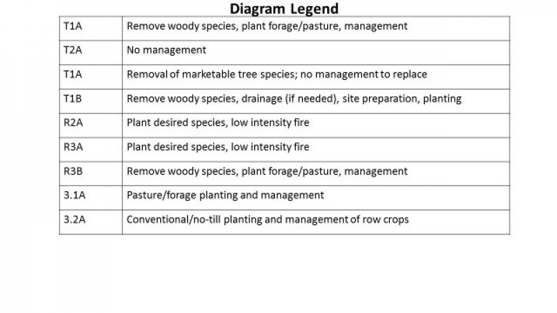 Model diagram