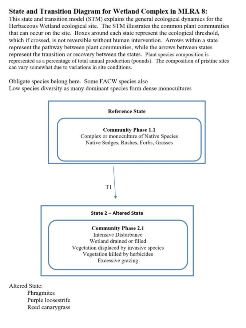 Model diagram