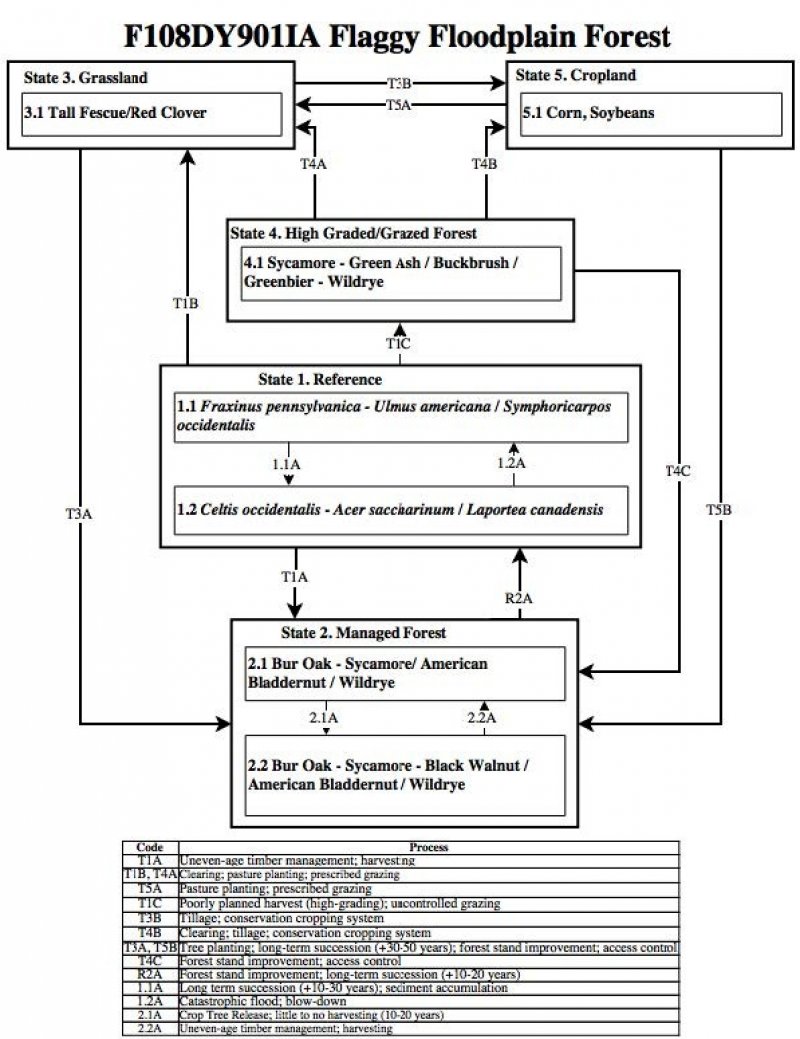 Model diagram