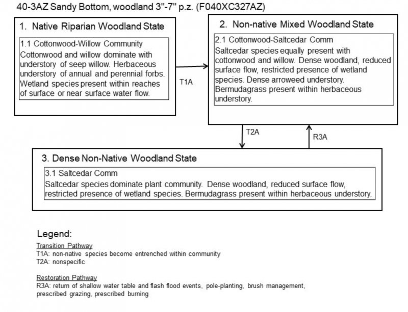 Model diagram