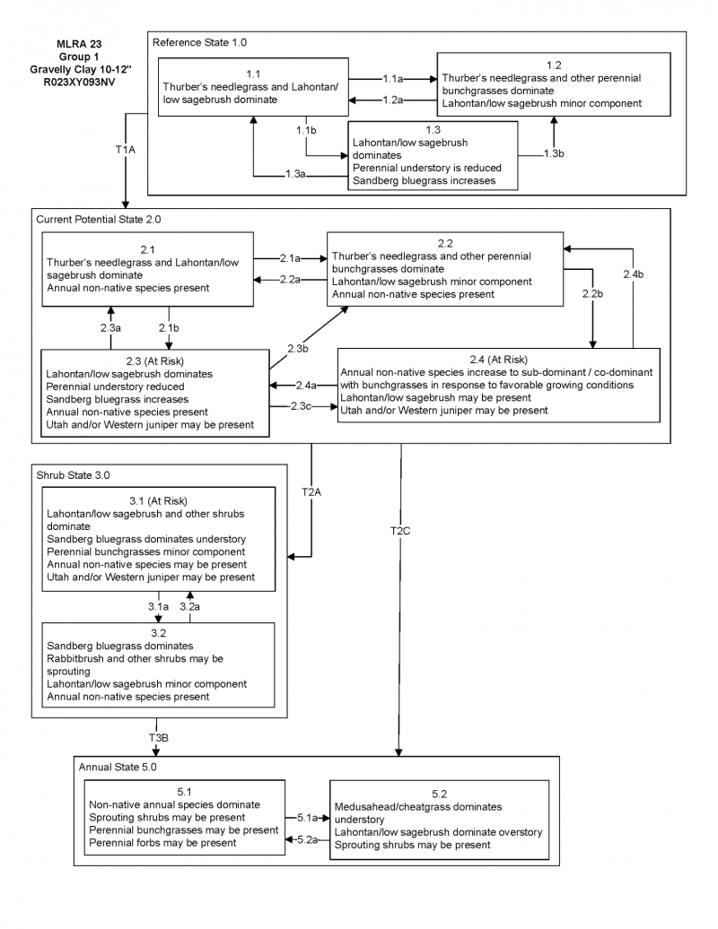 Model diagram