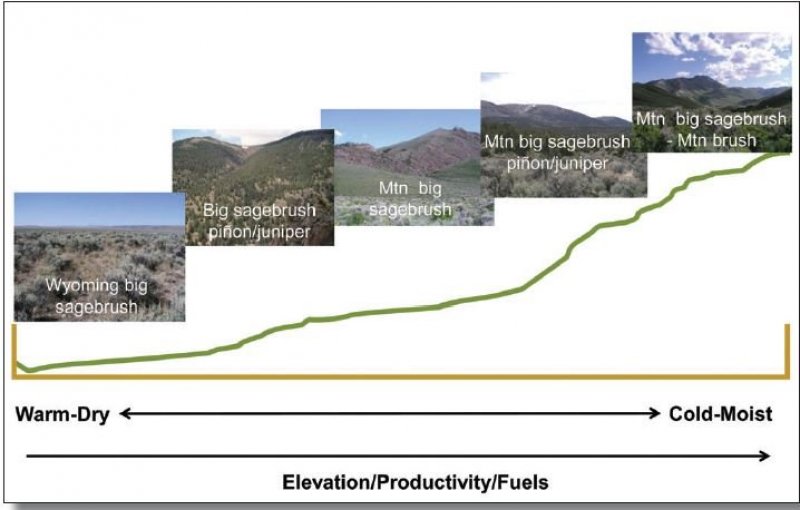 SagebrushDiagram_Elevations_GTR326