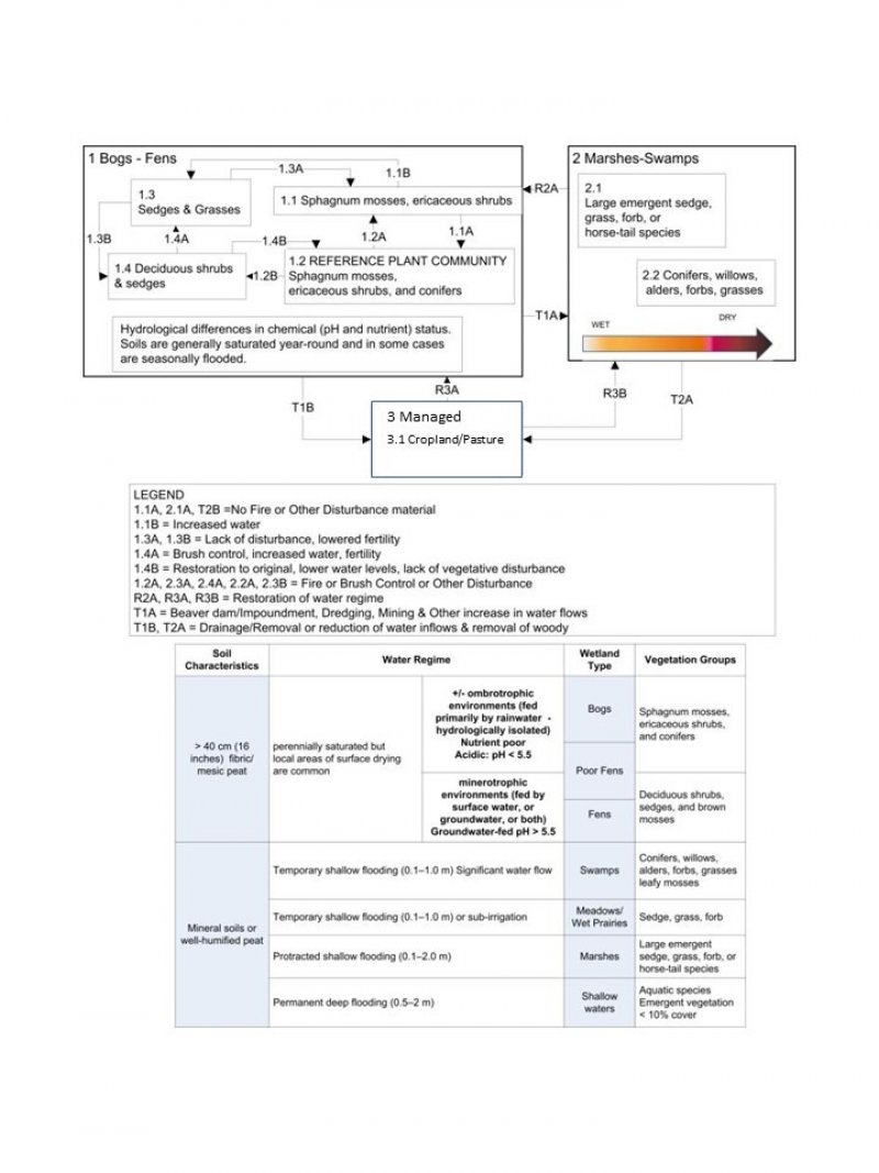 Model diagram