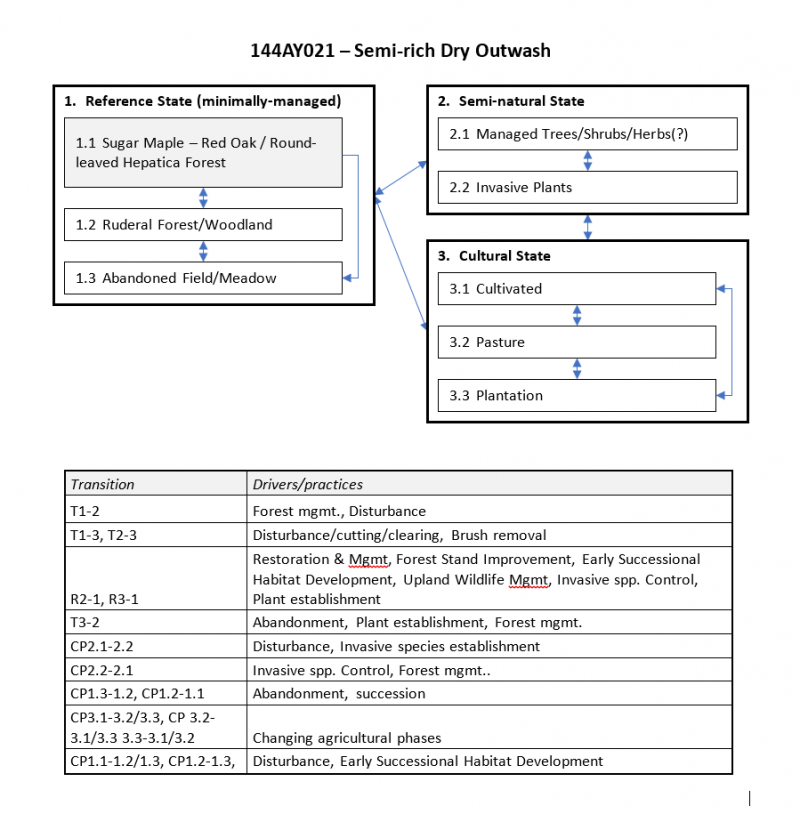 Model diagram